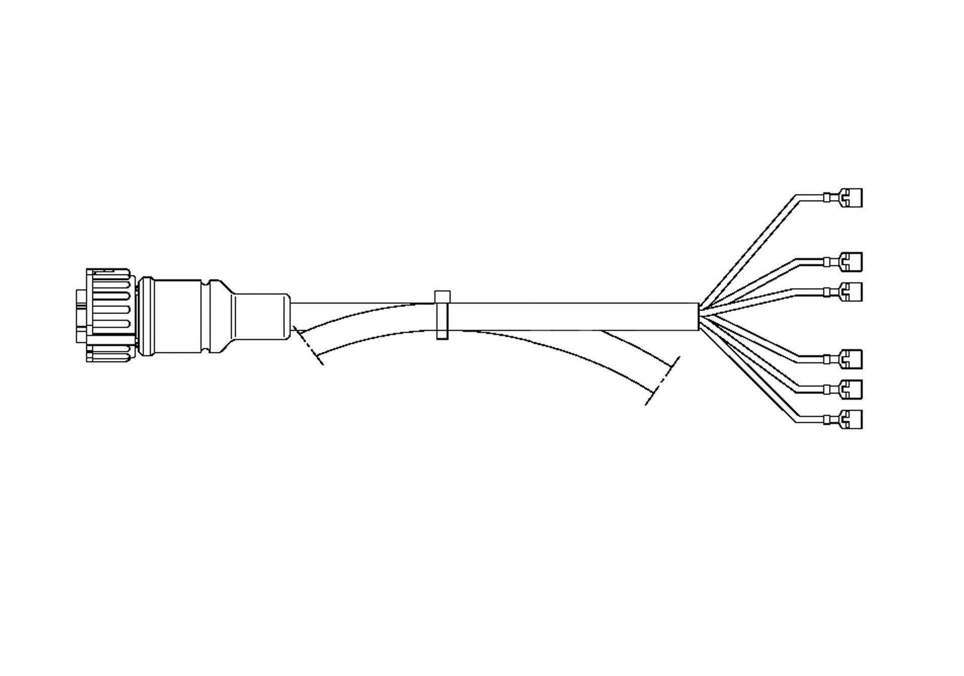 Cablaggio fanale posteriore 7 pin 2500 mm